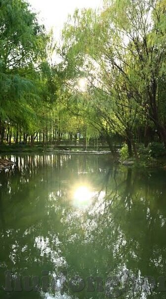 91麻豆香蕉视频-91麻豆香蕉视频，数字时代下内容消费趋势与影响