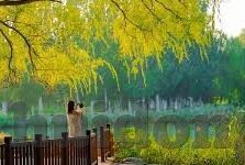 日韩亚洲成人av-探索日韩文化中的成人娱乐现象，一个多维度视角的考察
