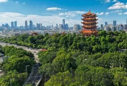 糖心app下载苹果-科技新体验，探索糖心在苹果设备上的下载之旅