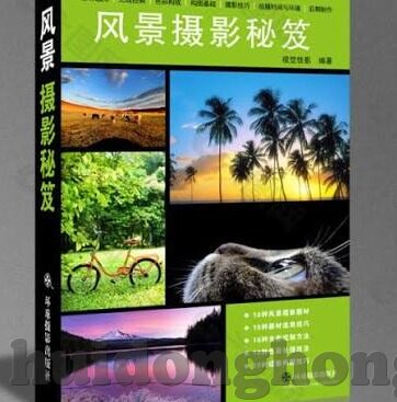 糖心vlog免-探索，虚拟世界的甜美时刻 —— 糖心Vlog的魔法甜点