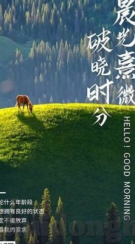 最近免费中文字幕-近期免费中文字幕的兴起与影响